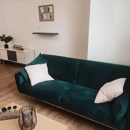 Maison Scandinave Avec Garage Hébergement de vacances Roubaix